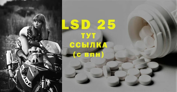 ПСИЛОЦИБИНОВЫЕ ГРИБЫ Липки