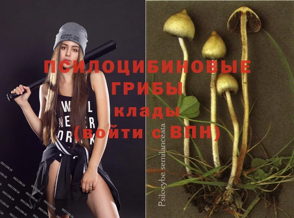 герыч Майский