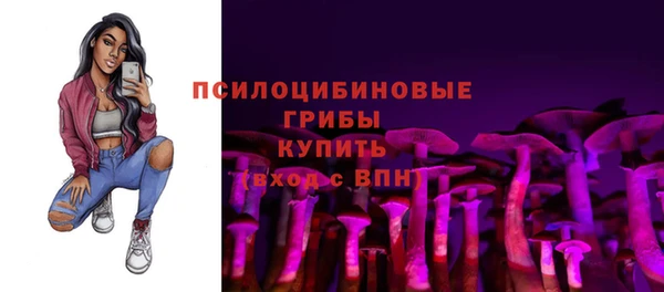 ПСИЛОЦИБИНОВЫЕ ГРИБЫ Липки