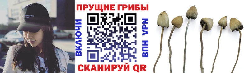Псилоцибиновые грибы MAGIC MUSHROOMS  Купить  Пересвет 