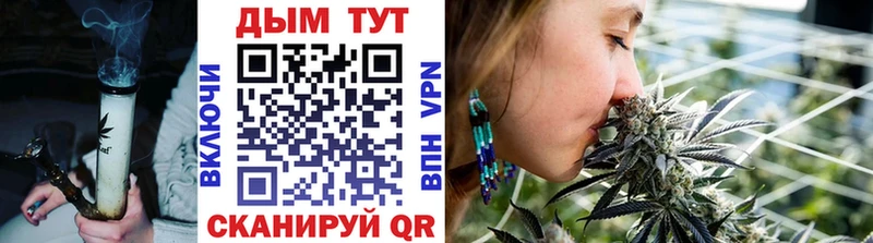 Купить где  Пересвет  Марихуана семена 